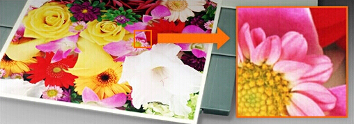 柯尼卡美能達C658原裝碳粉輸出效果